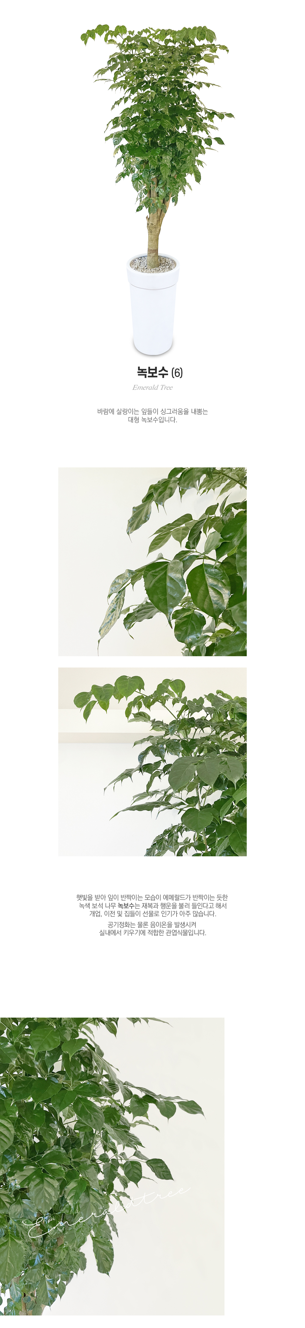 f_63c62f6eeedcb.jpg