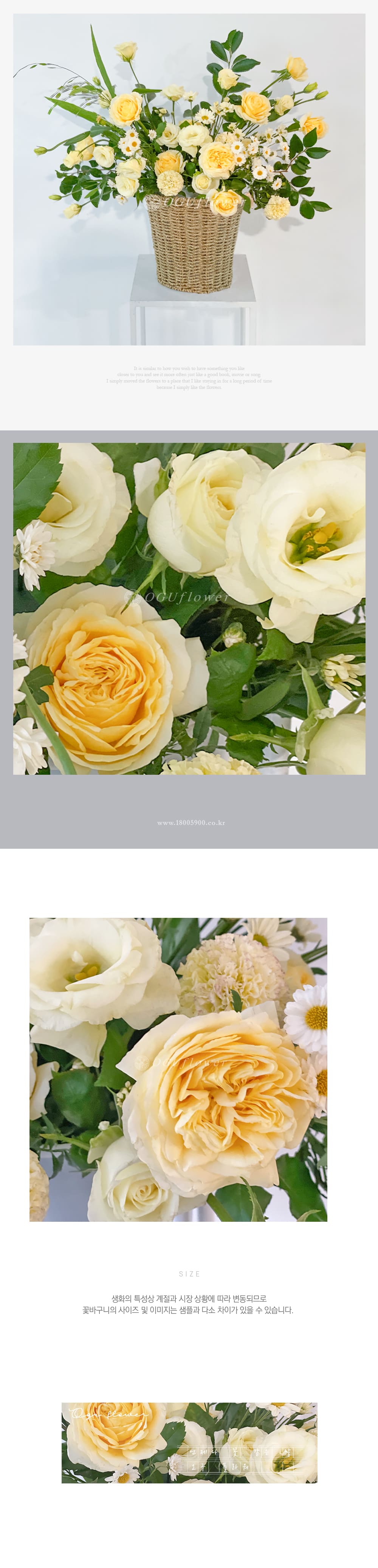 f_6a1d21508a1bb.jpg