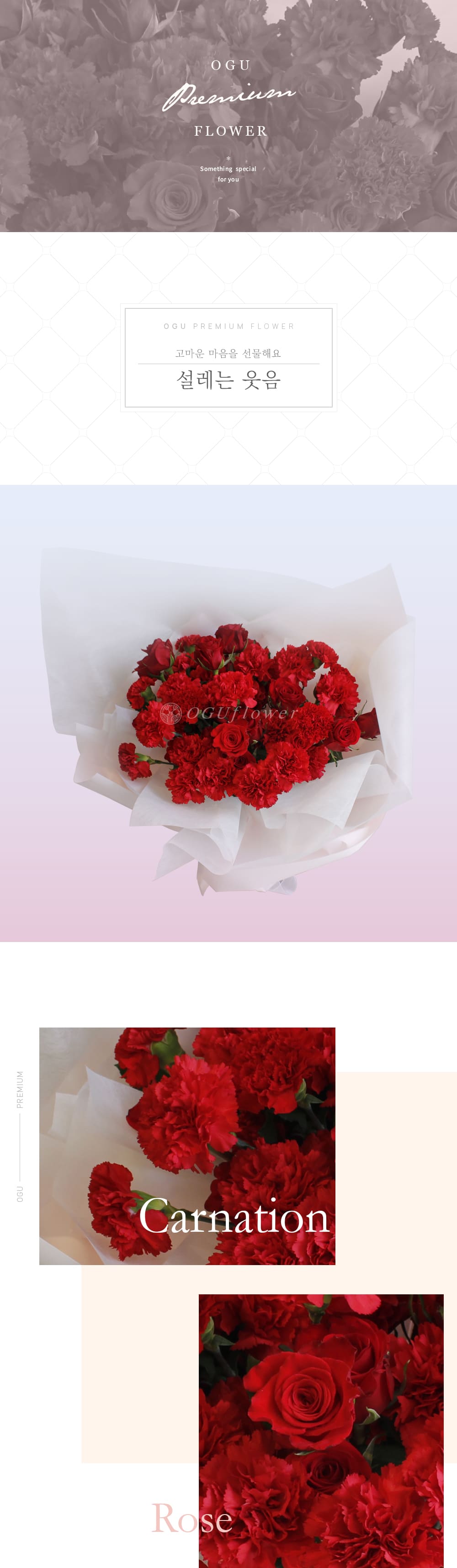 f_6a213e598c694.jpg