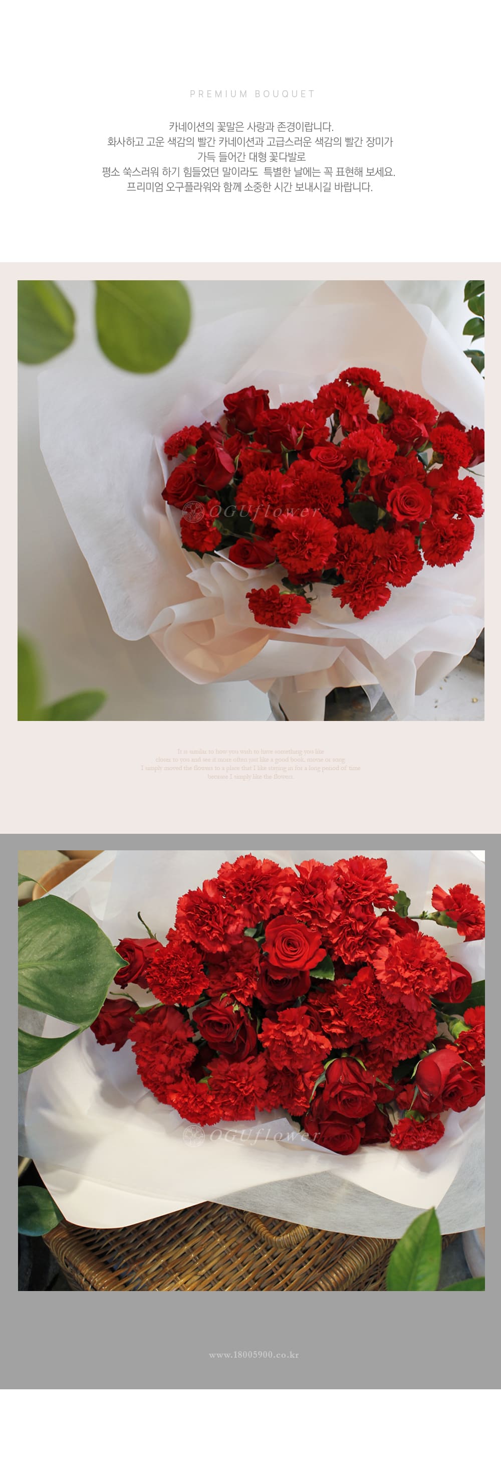 f_6a213e5996df3.jpg