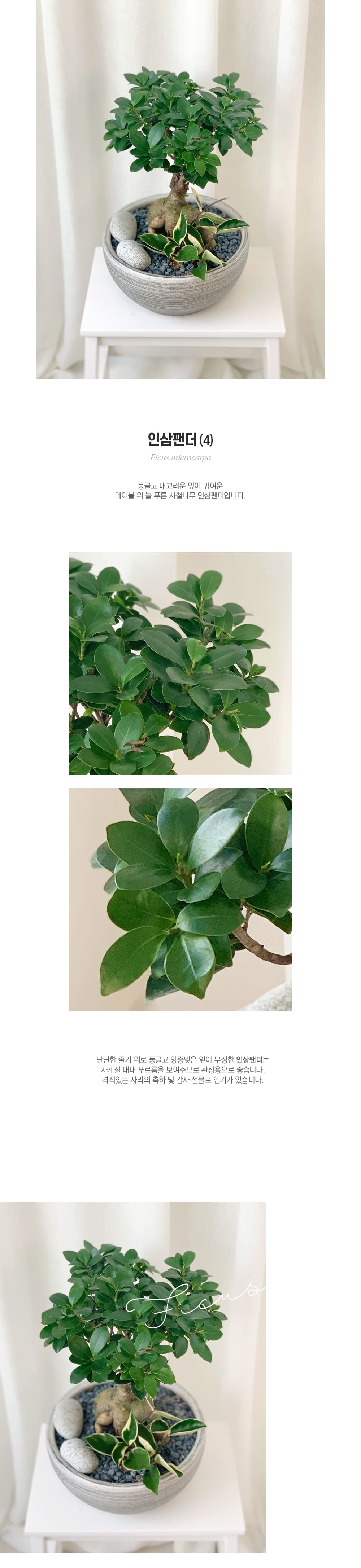 f_6a27b613f0105.jpg