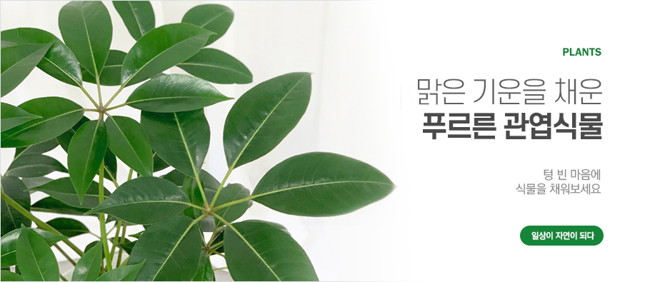 이달의 상품